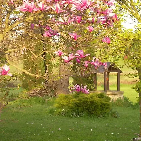 Il Giardino Di Gust'e Frühstückspension Cesano