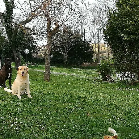 Frühstückspension Il Giardino Di Gust'e Cesano