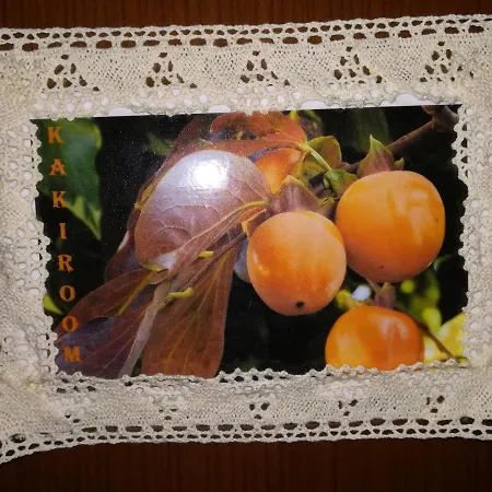 Il Giardino Di Gust'e * Cesano
